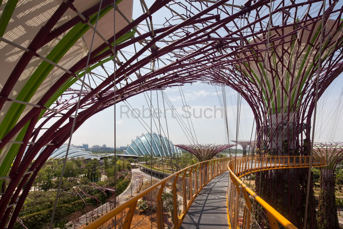 Architectural photography of Gardens by the Bay